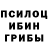 Псилоцибиновые грибы Psilocybe Everita Drigene