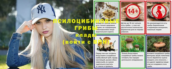 тгк Баксан