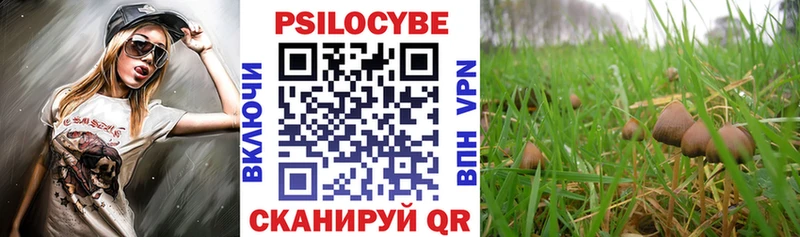 купить наркотики цена  Вилюйск  hydra маркетплейс  Галлюциногенные грибы Psilocybe 